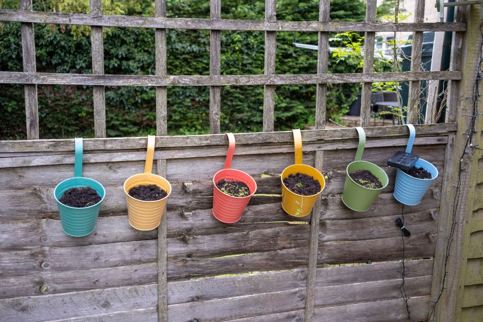 Vrouwen planten bloemen in DIY verticale tuin. Vrouwen planten bloemen in DIY verticale tuin.