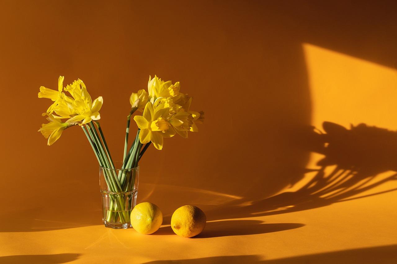Smartphone-app beheert verkoelende aromatherapie-ervaringen.