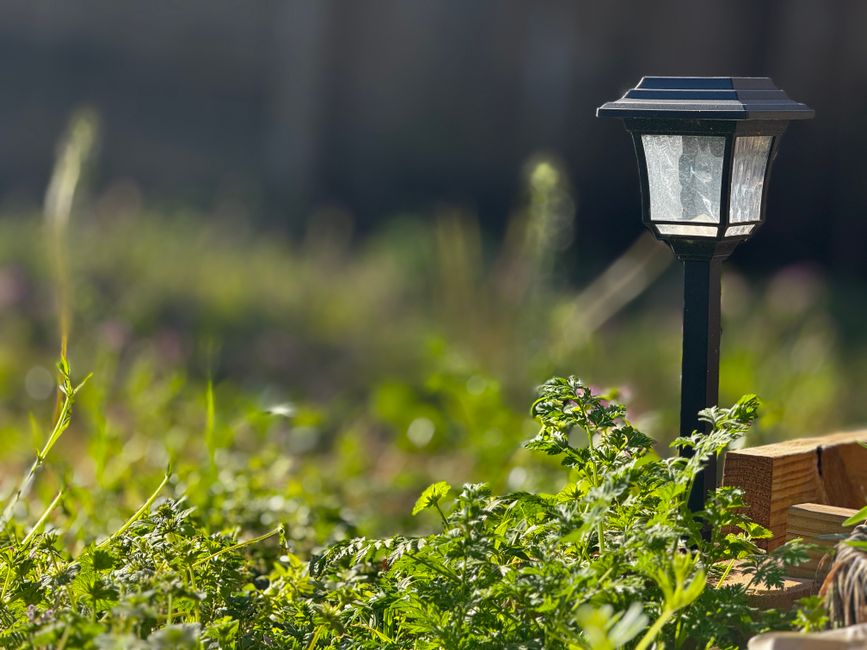 Zonsondergang verlicht tuinpad met solar lampen. Zonsondergang verlicht tuinpad met solar lampen.